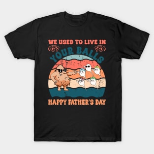 We used to live in your balls happy Gift For Men Father day T-Shirt